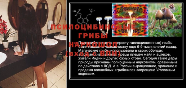 спиды Приозерск