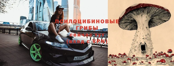 spice Рославль