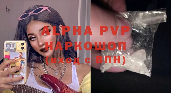крисы Вязьма